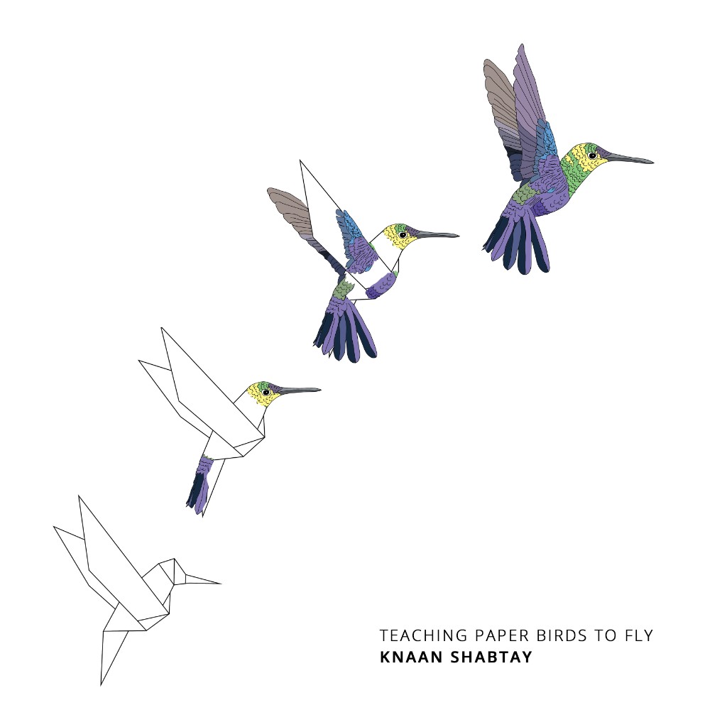 Teaching Paper Birds To Fly