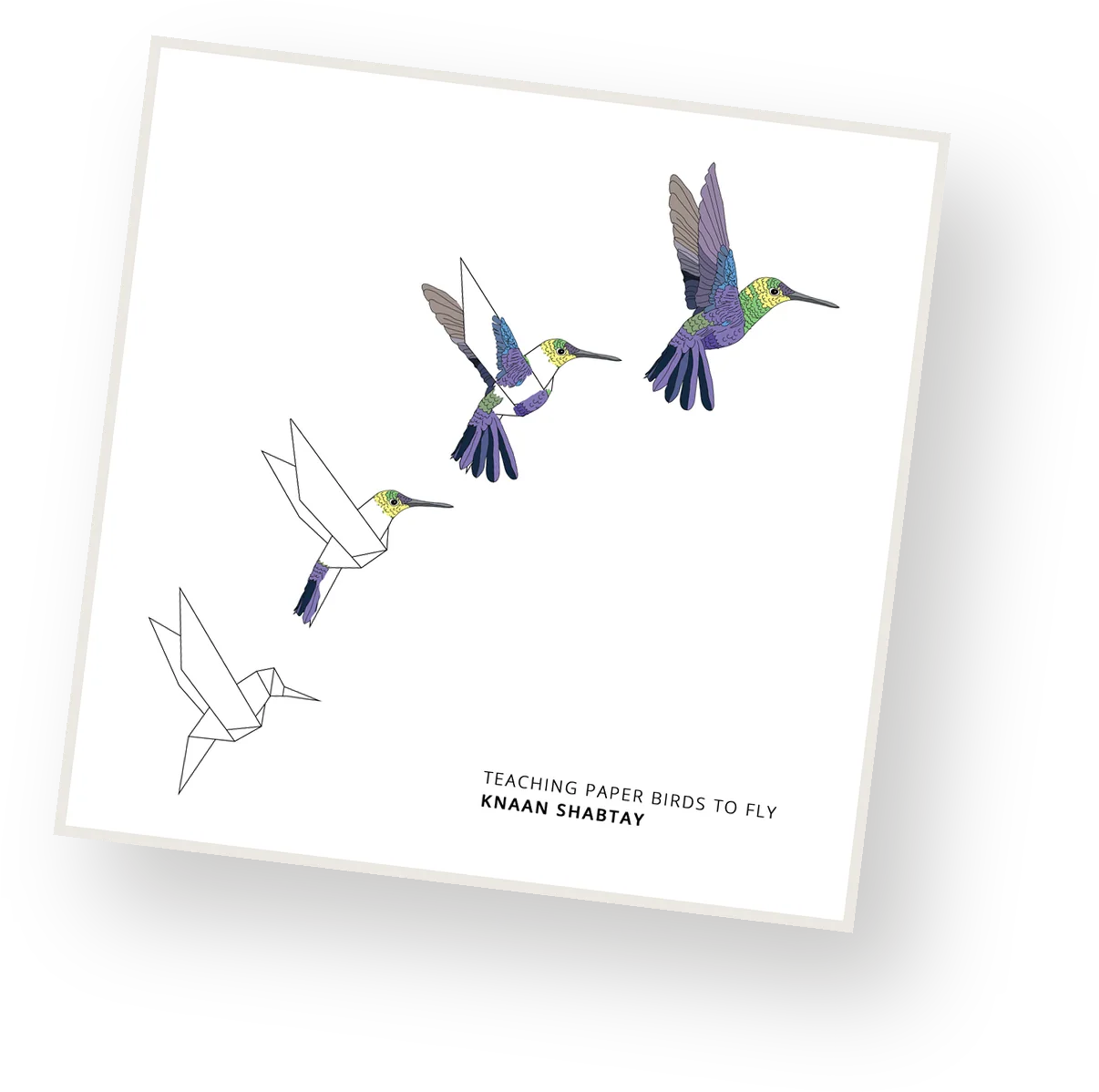 Teaching Paper Birds To Fly, picked up off the table